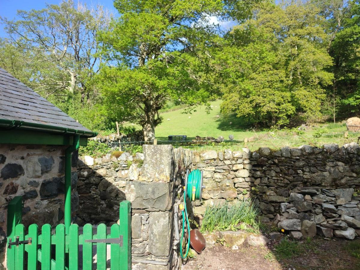 Y Gribyn - Modern Stone Cottage Within Snowdonia'S National Park Dolgellau Exterior photo